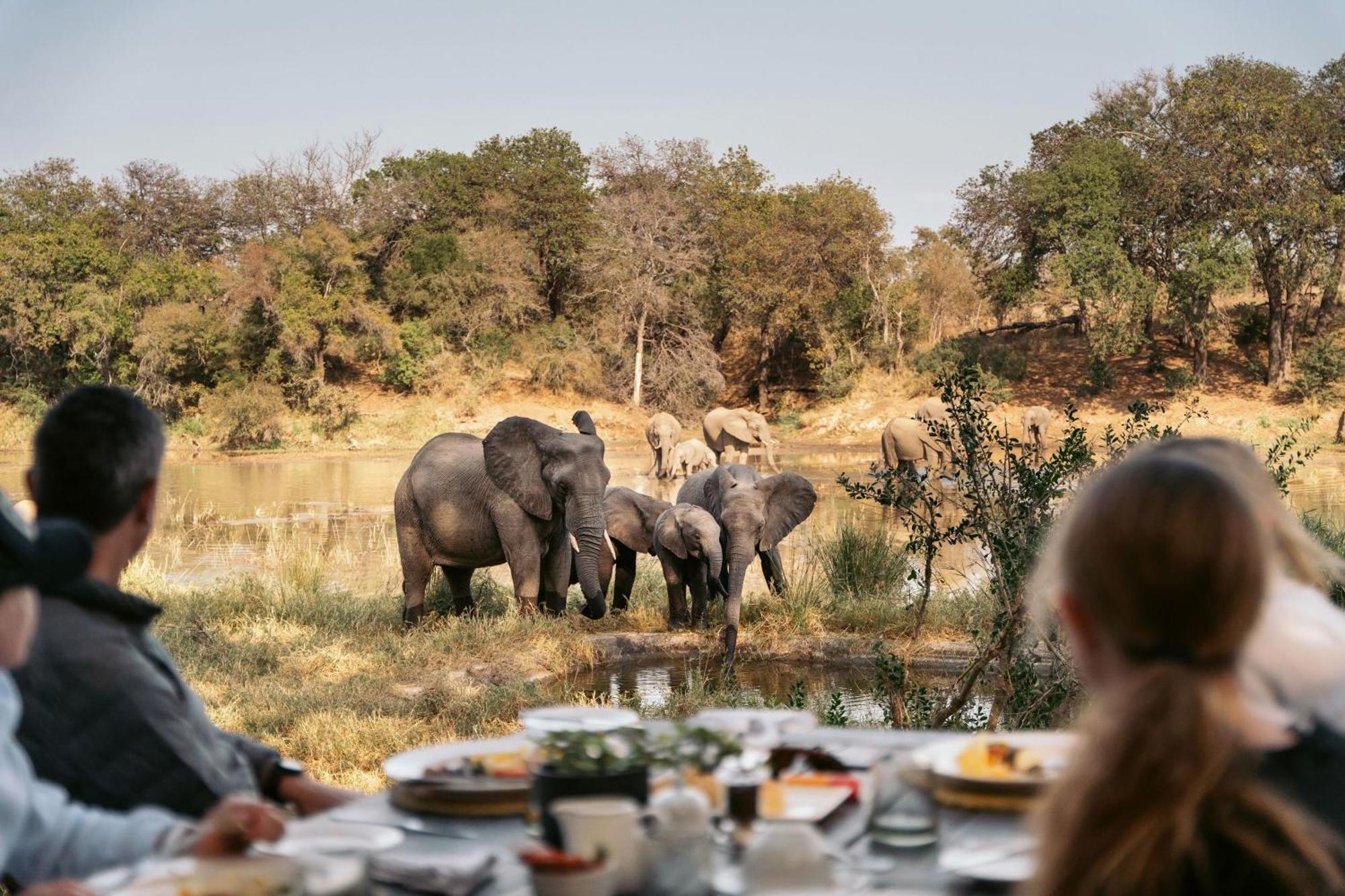 Simbavati River Lodge Заповедник Тимбавати Экстерьер фото